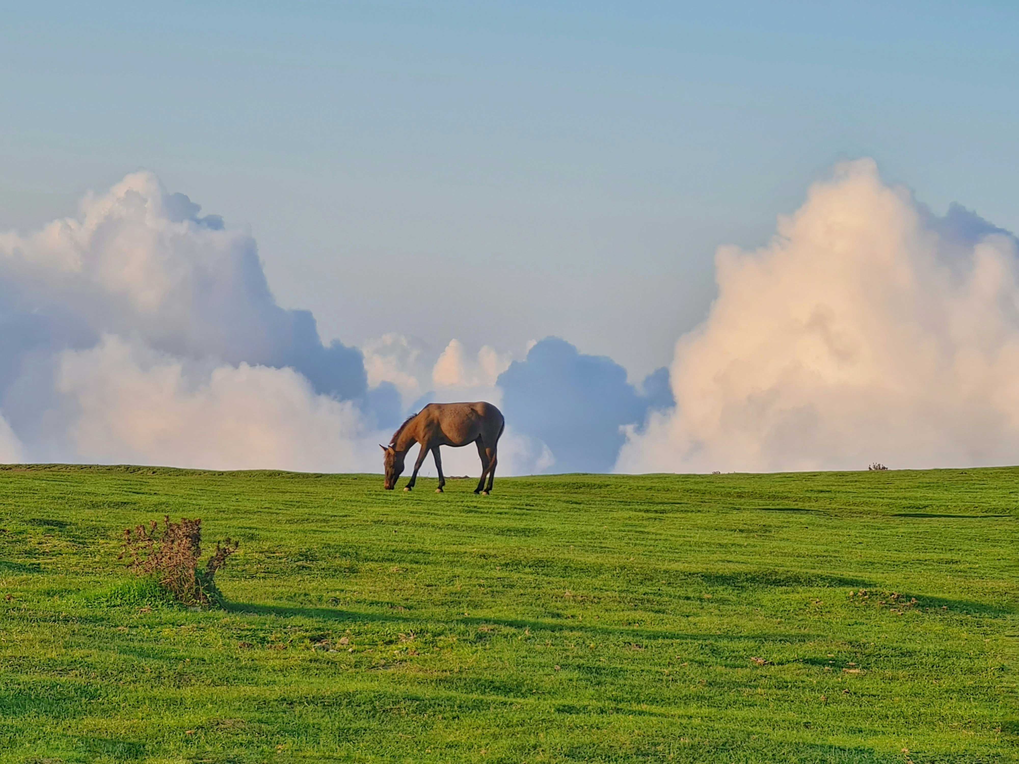 The Countryside Edit