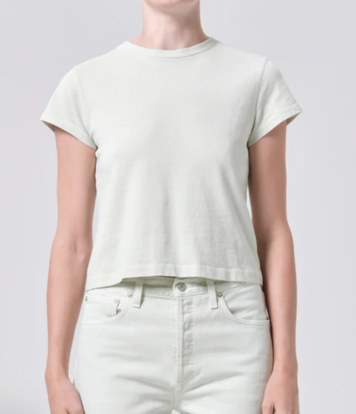 AGOLDE | Adine Shrunken Tee in Mint Cream
