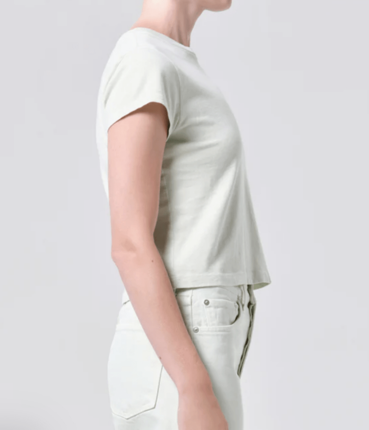 AGOLDE | Adine Shrunken Tee in Mint Cream